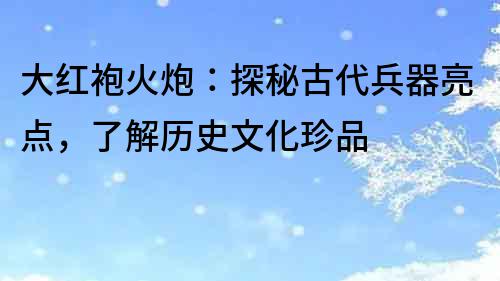 大红袍火炮：探秘古代兵器亮点，了解历史文化珍品