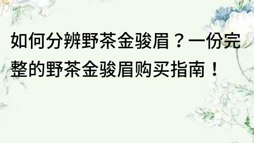 如何分辨野茶金骏眉？一份完整的野茶金骏眉购买指南！