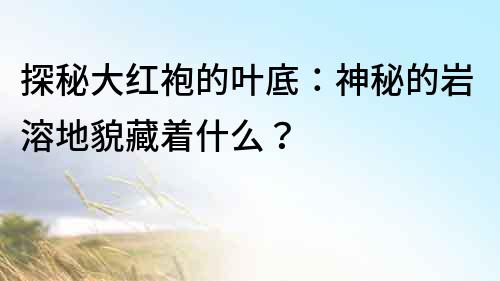 探秘大红袍的叶底：神秘的岩溶地貌藏着什么？