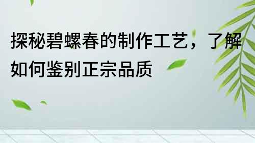 探秘碧螺春的制作工艺，了解如何鉴别正宗品质