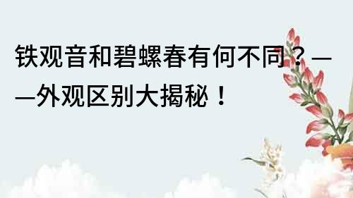 铁观音和碧螺春有何不同？——外观区别大揭秘！