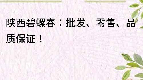 陕西碧螺春：批发、零售、品质保证！