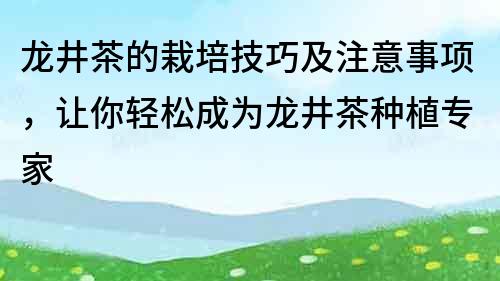 龙井茶的栽培技巧及注意事项，让你轻松成为龙井茶种植专家