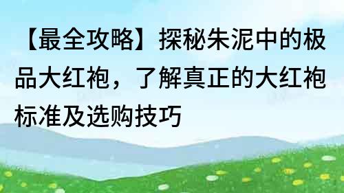 【最全攻略】探秘朱泥中的极品大红袍，了解真正的大红袍标准及选购技巧