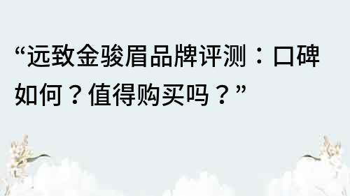 “远致金骏眉品牌评测：口碑如何？值得购买吗？”