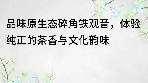 品味原生态碎角铁观音，体验纯正的茶香与文化韵味