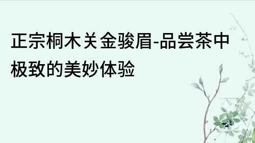 正宗桐木关金骏眉-品尝茶中极致的美妙体验