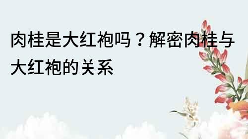 肉桂是大红袍吗？解密肉桂与大红袍的关系