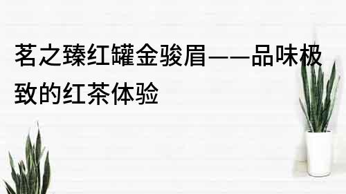 茗之臻红罐金骏眉——品味极致的红茶体验