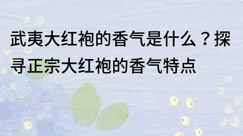 武夷大红袍的香气是什么？探寻正宗大红袍的香气特点