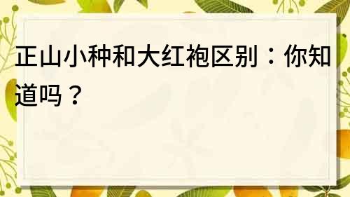 正山小种和大红袍区别：你知道吗？