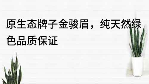 原生态牌子金骏眉，纯天然绿色品质保证