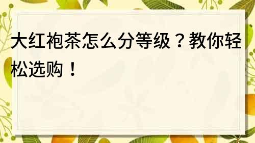 大红袍茶怎么分等级？教你轻松选购！