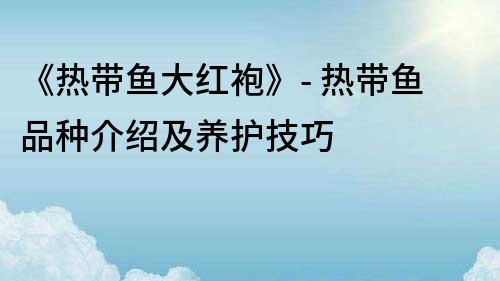 《热带鱼大红袍》- 热带鱼品种介绍及养护技巧