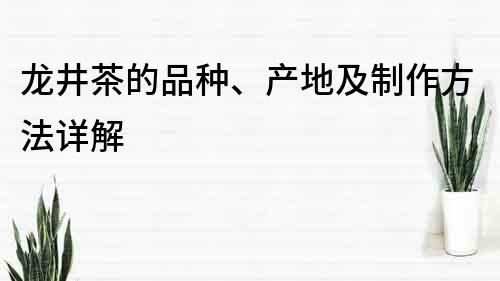 龙井茶的品种、产地及制作方法详解