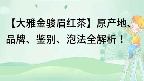 【大雅金骏眉红茶】原产地、品牌、鉴别、泡法全解析！