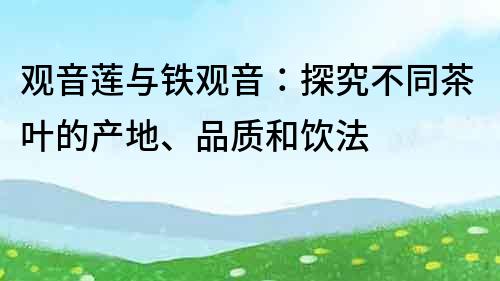 观音莲与铁观音：探究不同茶叶的产地、品质和饮法