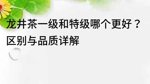 龙井茶一级和特级哪个更好？区别与品质详解