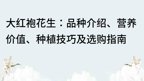 大红袍花生：品种介绍、营养价值、种植技巧及选购指南