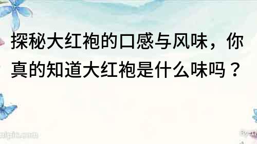 探秘大红袍的口感与风味，你真的知道大红袍是什么味吗？