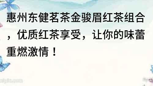 惠州东健茗茶金骏眉红茶组合，优质红茶享受，让你的味蕾重燃激情！