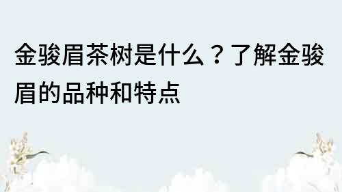 金骏眉茶树是什么？了解金骏眉的品种和特点