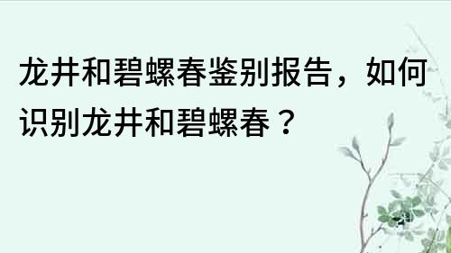 龙井和碧螺春鉴别报告，如何识别龙井和碧螺春？