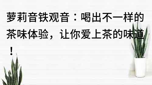 萝莉音铁观音：喝出不一样的茶味体验，让你爱上茶的味道！