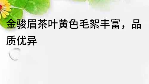 金骏眉茶叶黄色毛絮丰富，品质优异