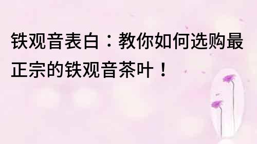 铁观音表白：教你如何选购最正宗的铁观音茶叶！