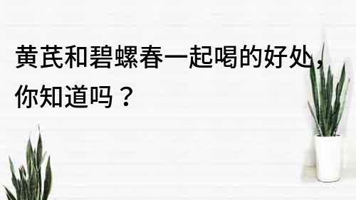 黄芪和碧螺春一起喝的好处，你知道吗？