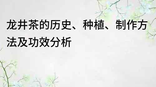 龙井茶的历史、种植、制作方法及功效分析