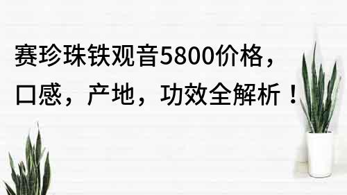 赛珍珠铁观音5800价格，口感，产地，功效全解析！