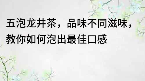 五泡龙井茶，品味不同滋味，教你如何泡出最佳口感