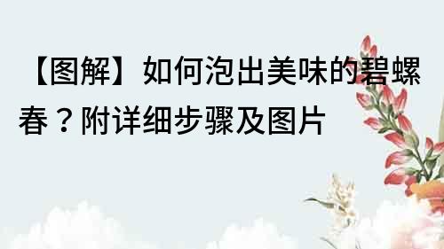 【图解】如何泡出美味的碧螺春？附详细步骤及图片