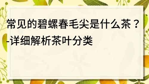 常见的碧螺春毛尖是什么茶？-详细解析茶叶分类