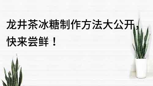 龙井茶冰糖制作方法大公开，快来尝鲜！