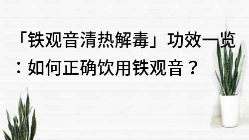 「铁观音清热解毒」功效一览：如何正确饮用铁观音？