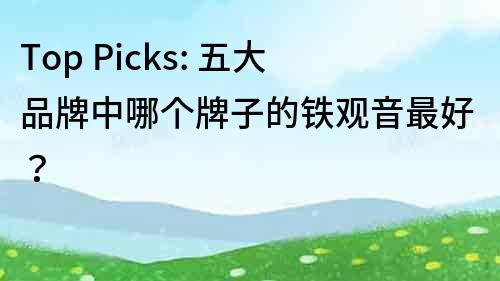 Top Picks: 五大品牌中哪个牌子的铁观音最好？