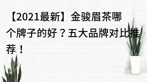 【2021最新】金骏眉茶哪个牌子的好？五大品牌对比推荐！