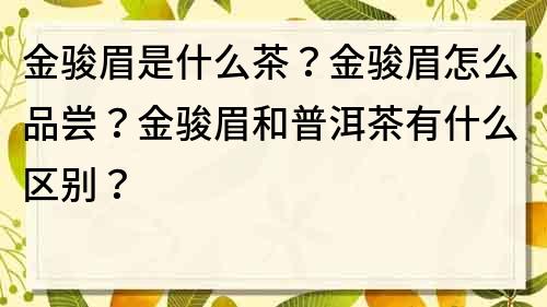 金骏眉是什么茶？金骏眉怎么品尝？金骏眉和普洱茶有什么区别？