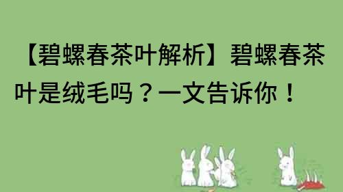 【碧螺春茶叶解析】碧螺春茶叶是绒毛吗？一文告诉你！