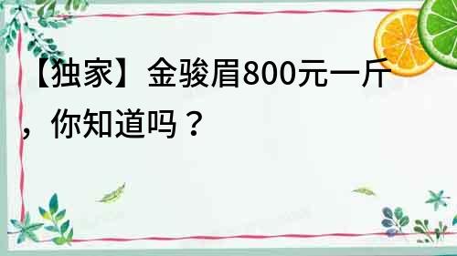 【独家】金骏眉800元一斤，你知道吗？