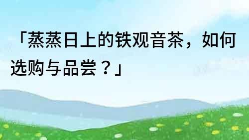 「蒸蒸日上的铁观音茶，如何选购与品尝？」