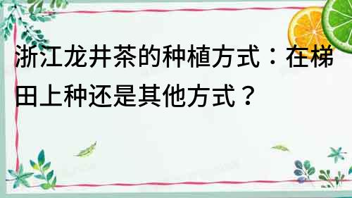 浙江龙井茶的种植方式：在梯田上种还是其他方式？