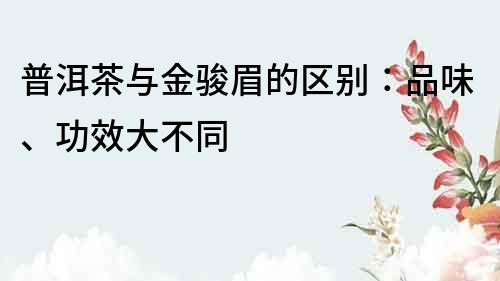 普洱茶与金骏眉的区别：品味、功效大不同