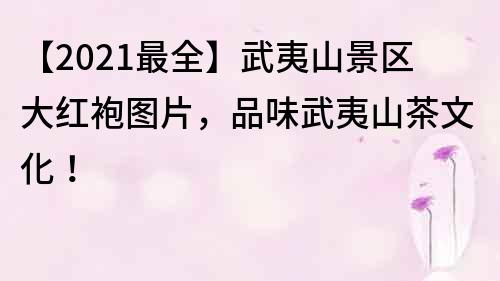 【2021最全】武夷山景区大红袍图片，品味武夷山茶文化！