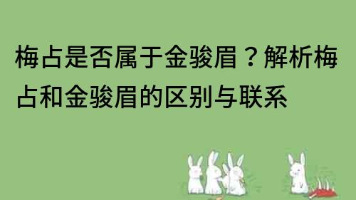 梅占是否属于金骏眉？解析梅占和金骏眉的区别与联系