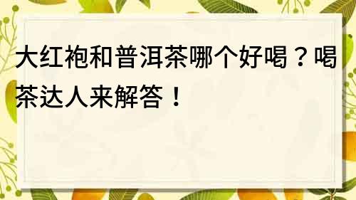 大红袍和普洱茶哪个好喝？喝茶达人来解答！