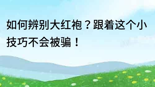 如何辨别大红袍？跟着这个小技巧不会被骗！